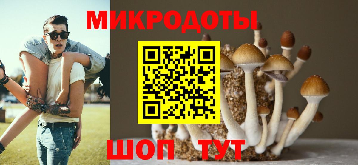 Галлюциногенные грибы Psilocybe  Псилоцибиновые грибы Psilocybine cubensis  где можно купить   Вход с VPN  Дивногорск 