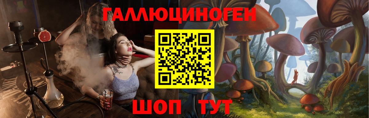 Псилоцибиновые грибы мицелий Дивногорск